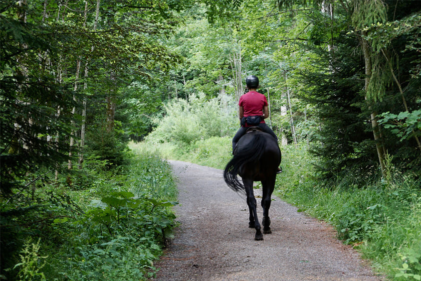 Horse Riding in Megalong Valley: A Scenic Guide