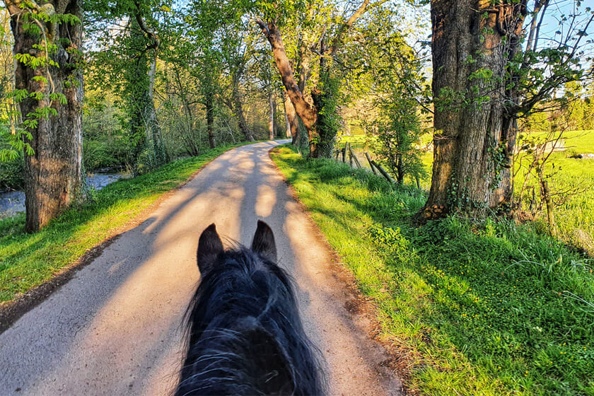 Exploring Megalong Valley Through Horse Riding