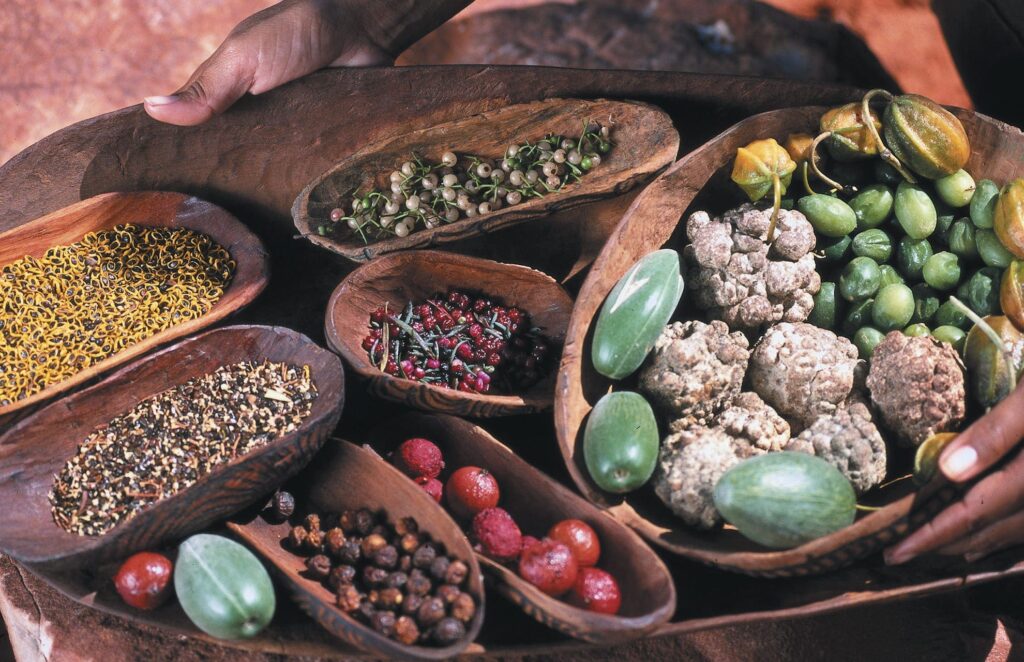 Indigenous culinary experience on a Bush Tucker Tour