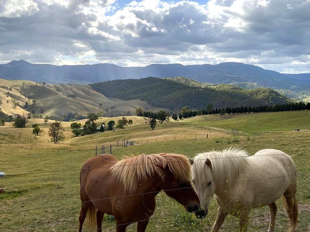 koreanmiin | Horse Riding in Megalong Valley: A guide to horse riding in the scenic Megalong Valley.