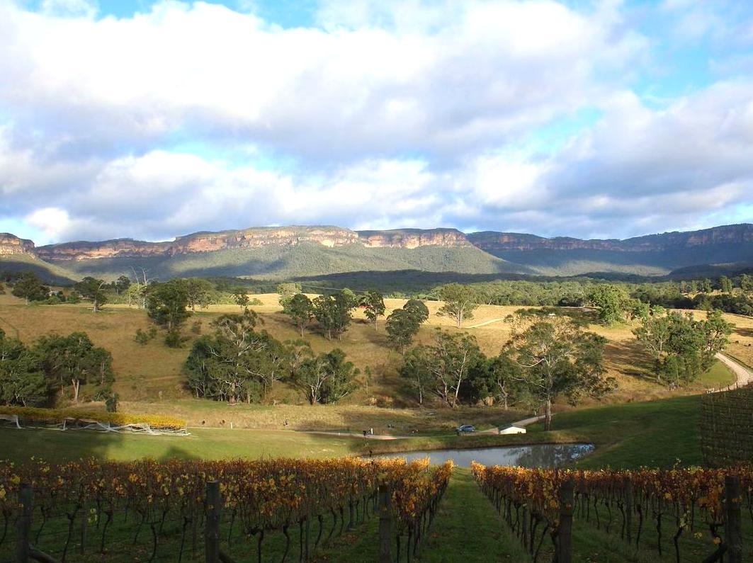 A Comprehensive Guide to Horse Riding in Beautiful Megalong Valley