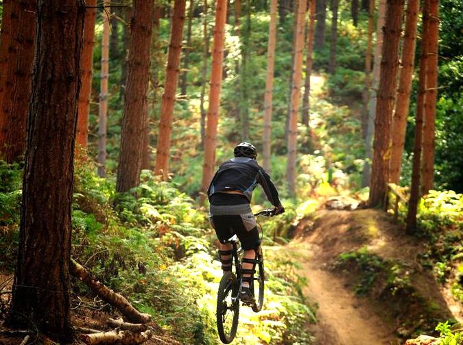 koreanmiin | Mountain Biking on Narrow Neck Trail: Mountain biking adventures on Narrow Neck Trail.