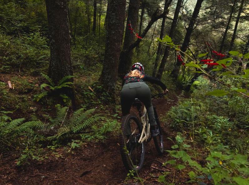 Exploring Narrow Neck Trail by Mountain Bike