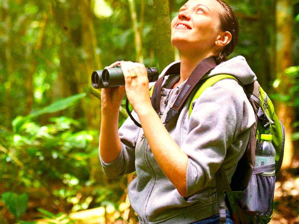 koreanmiin | Bird Watching at Birdwatchers Walk: Birdwatching tips and trails at Birdwatchers Walk.