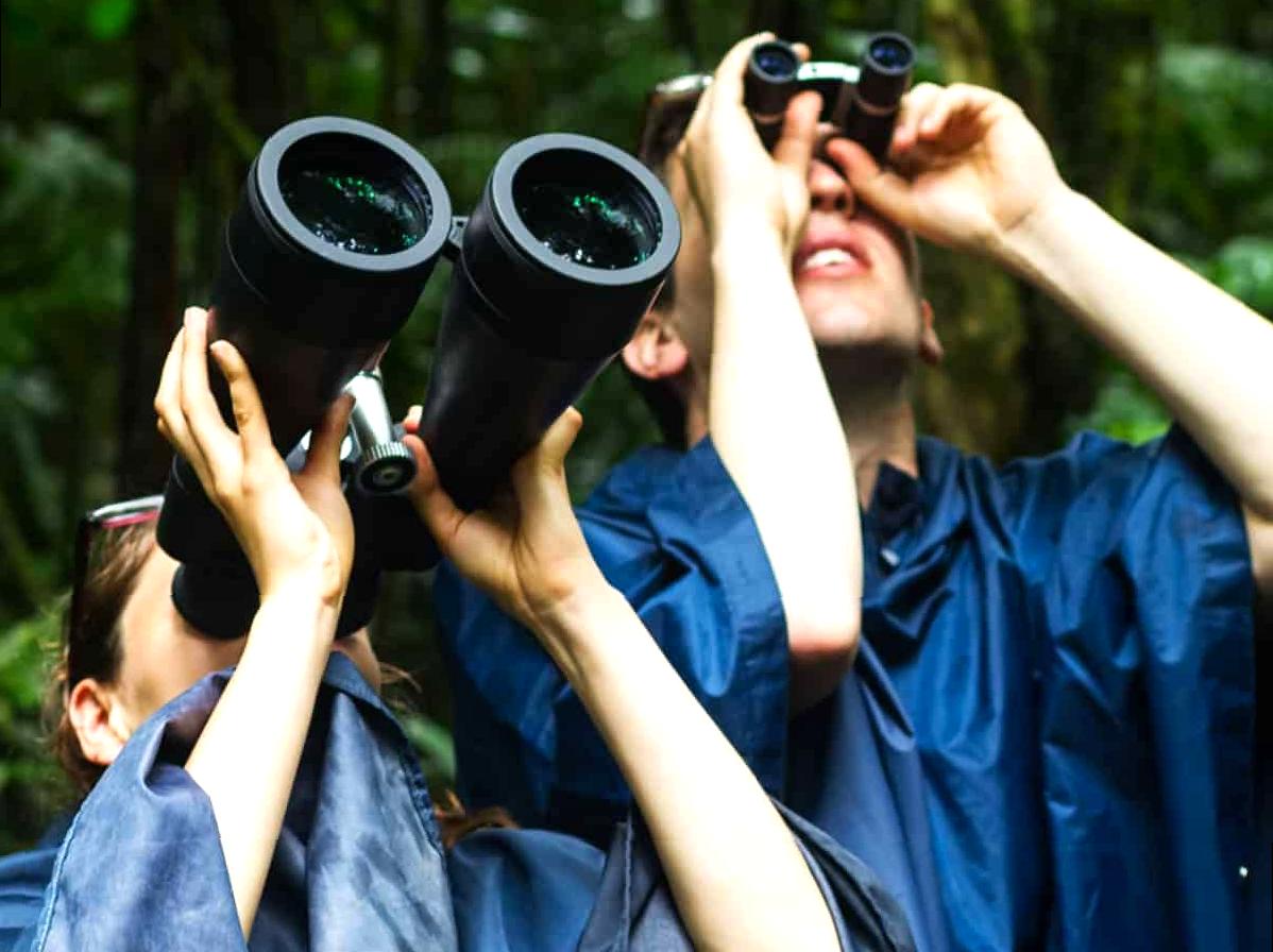 Exploring Birdwatching Opportunities at Birdwatchers Walk