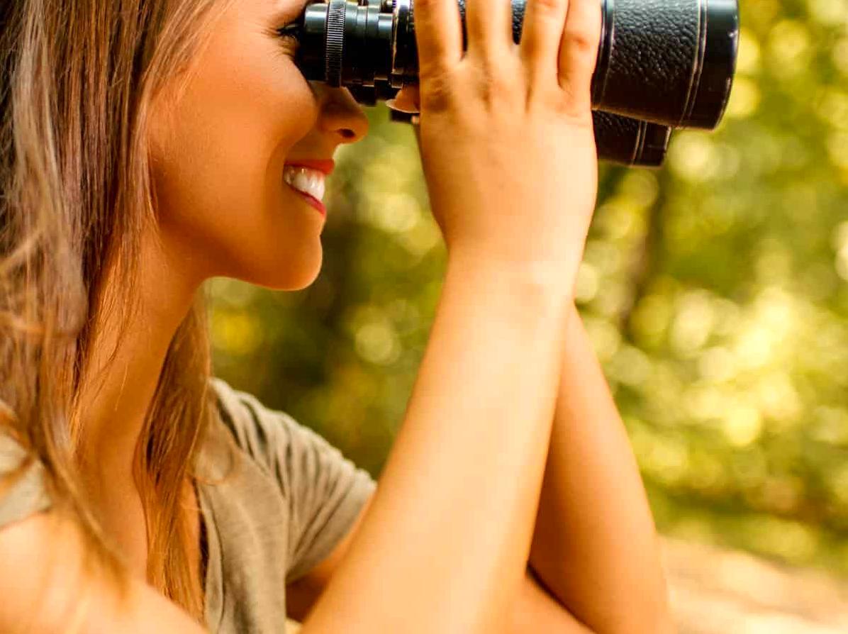 Discovering Birdwatching Trails and Tips at Birdwatchers Walk