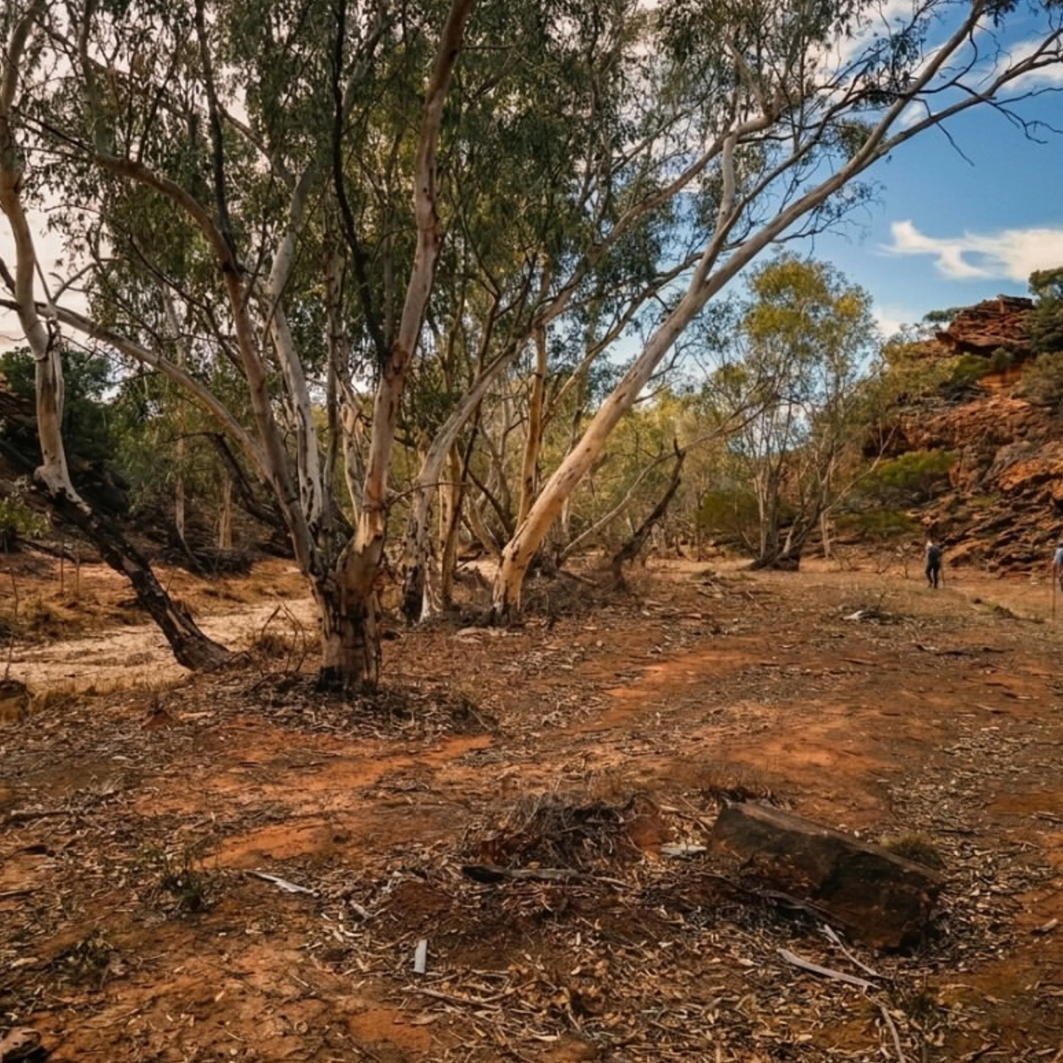 hikers on rugged red rock trail