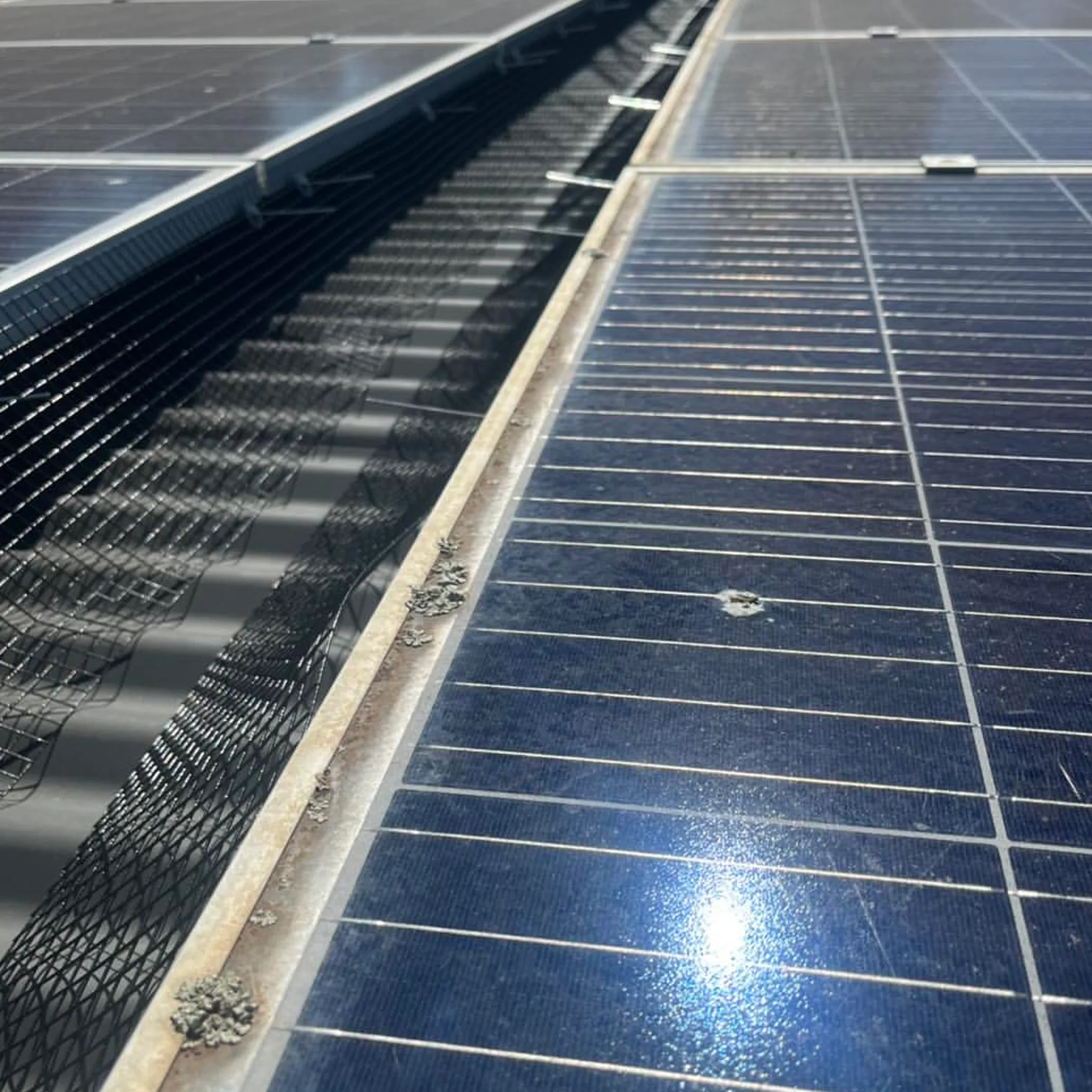 solar panels with dirt buildup