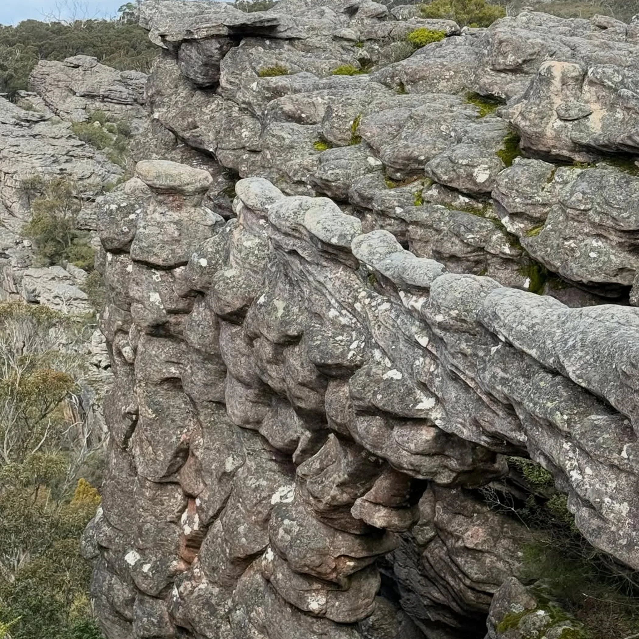 grampians pinnacles track in winter
