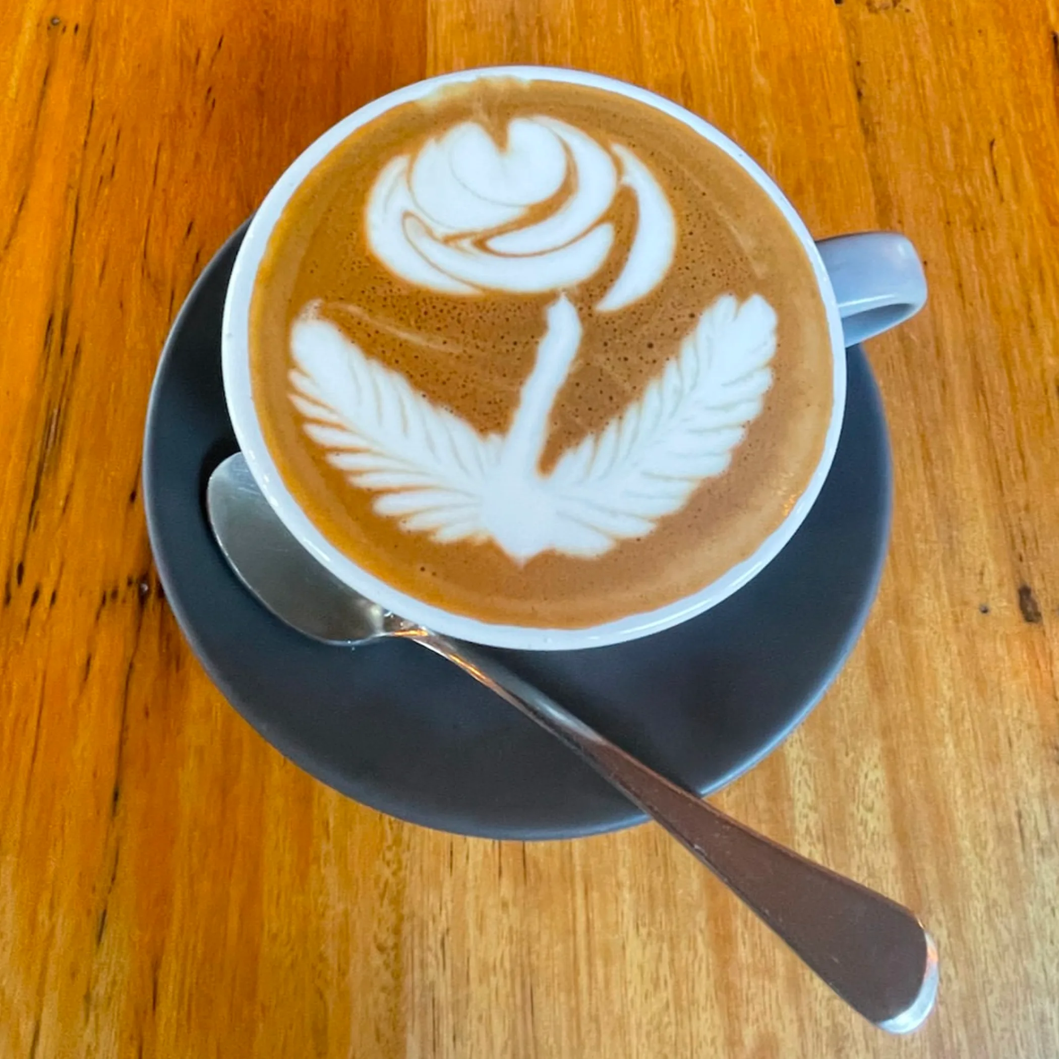 well-lit coffee photograph