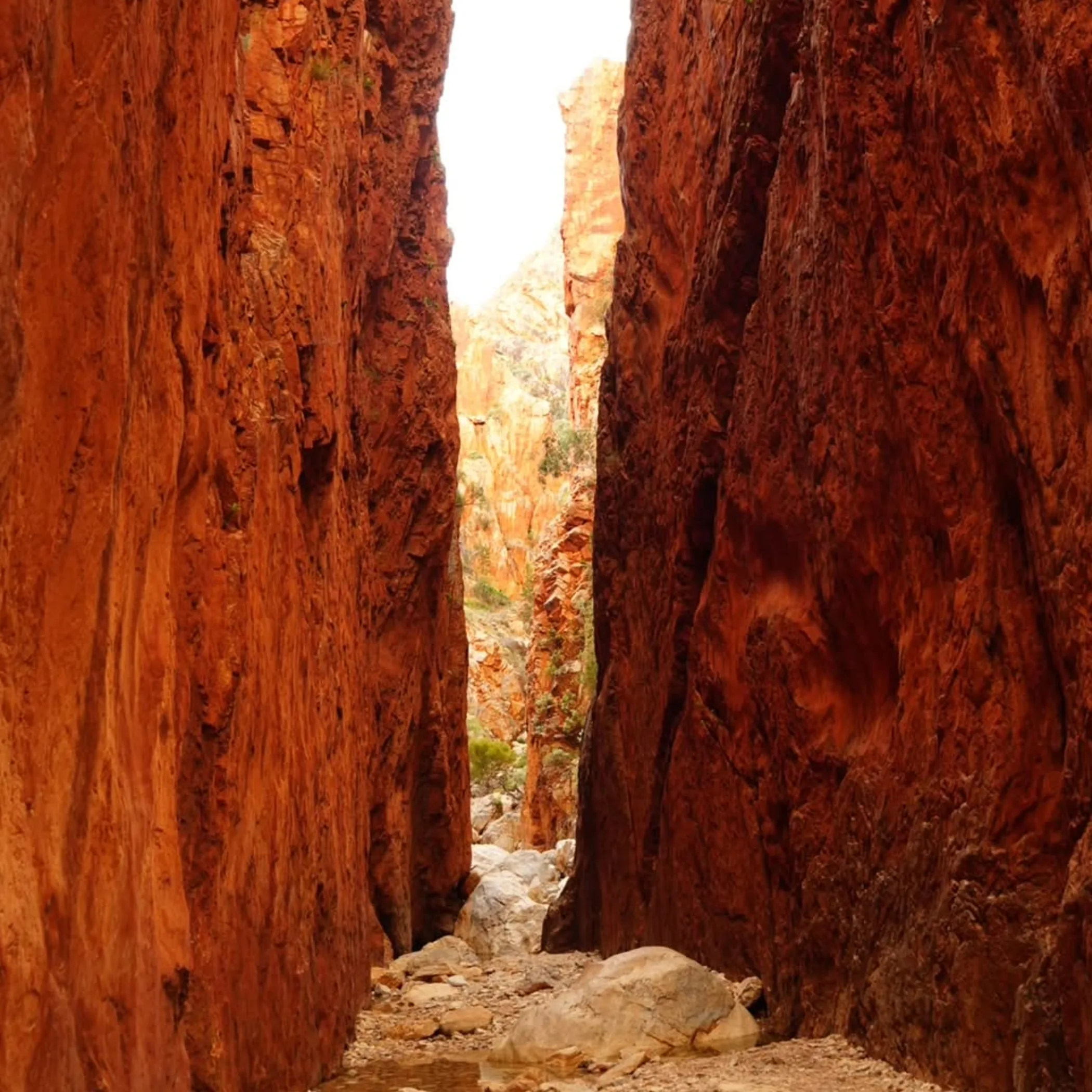 rugged ancient rock country