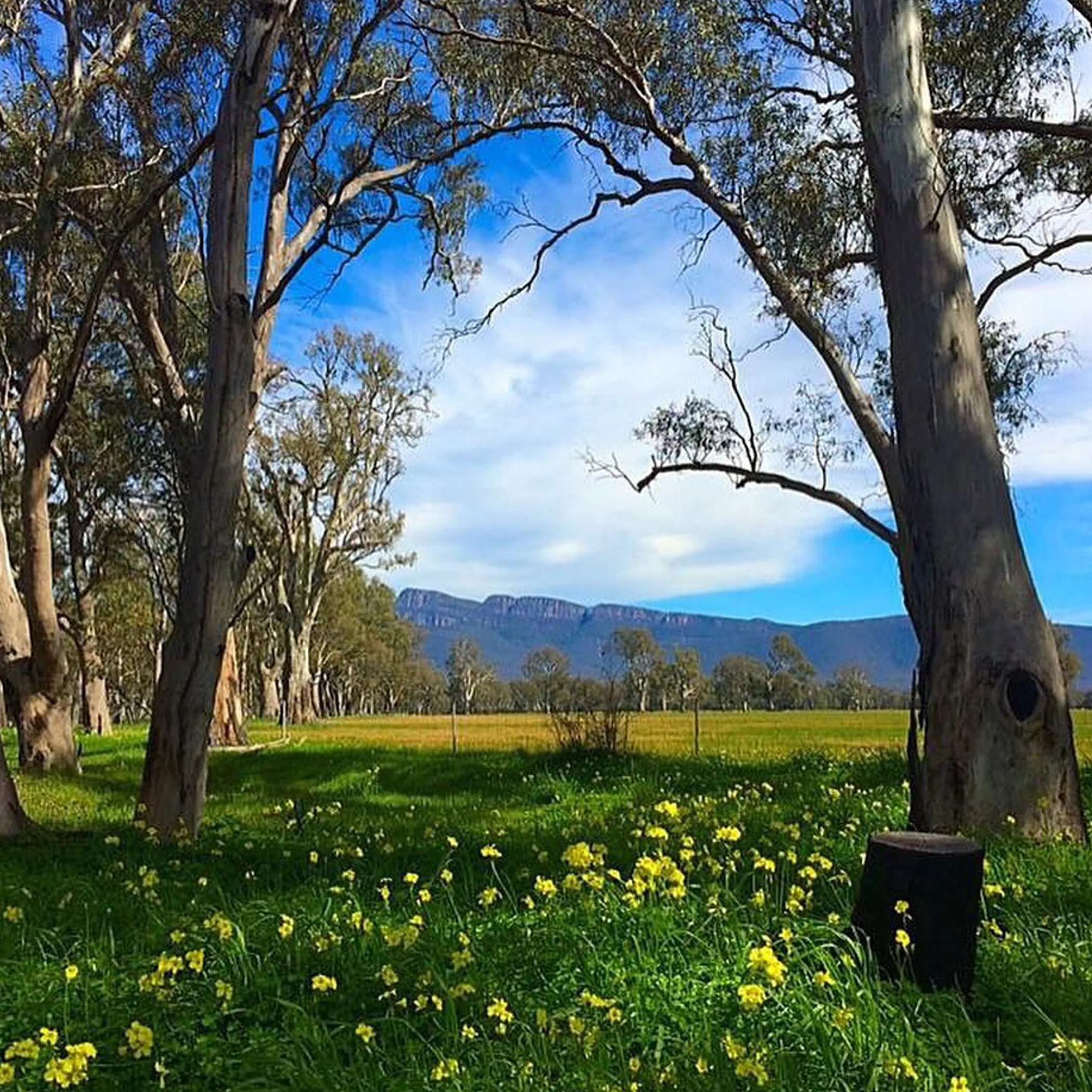 grampians landscape and rural road